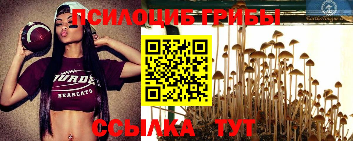 Галлюциногенные грибы прущие грибы  Псилоцибиновые грибы прущие грибы  Советская Гавань  Вход с VPN 